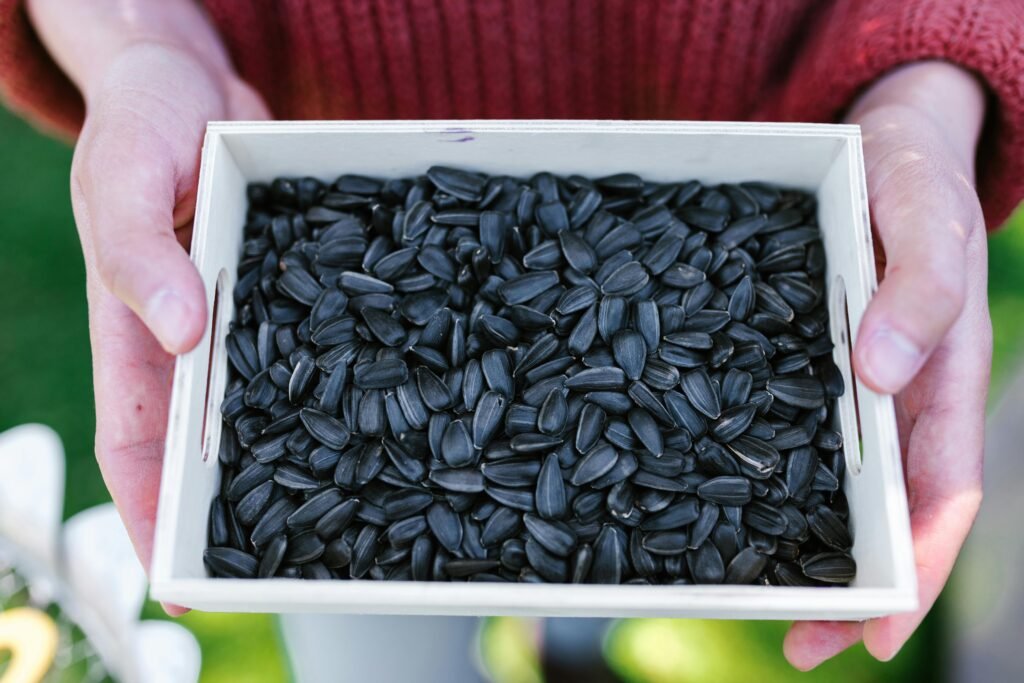 7 Power-Packed Seeds with More Protein Than Meat