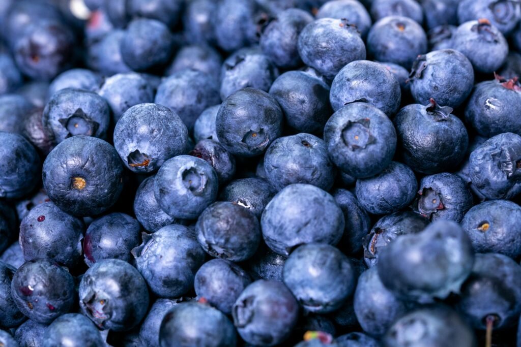 Unknown Nutritional Benefits of Blueberry Seeds